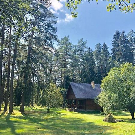 Rojaus Slenis Villa Druskininkai Kültér fotó