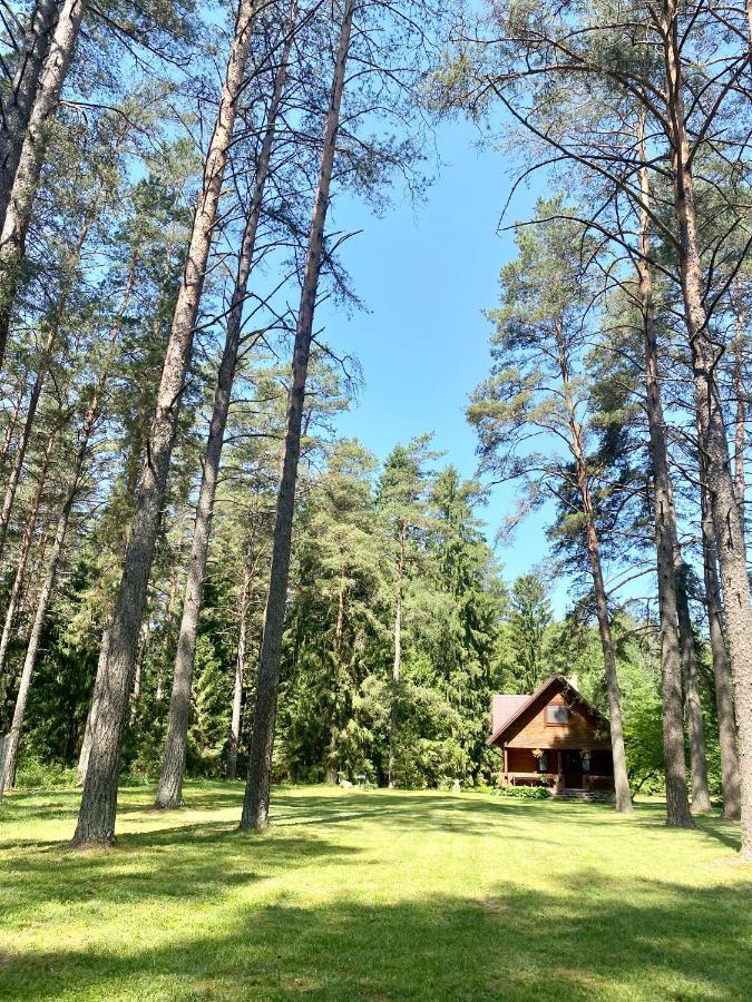 Rojaus Slenis Villa Druskininkai Kültér fotó