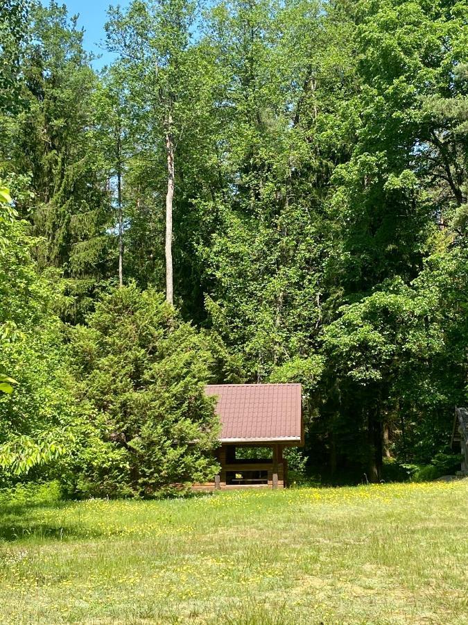 Rojaus Slenis Villa Druskininkai Kültér fotó