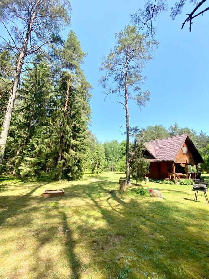 Rojaus Slenis Villa Druskininkai Kültér fotó