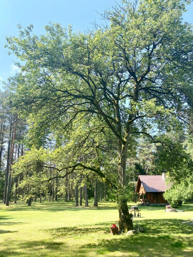 Rojaus Slenis Villa Druskininkai Kültér fotó