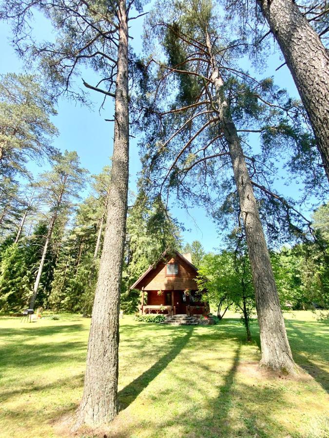 Rojaus Slenis Villa Druskininkai Kültér fotó