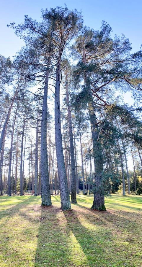 Rojaus Slenis Villa Druskininkai Kültér fotó