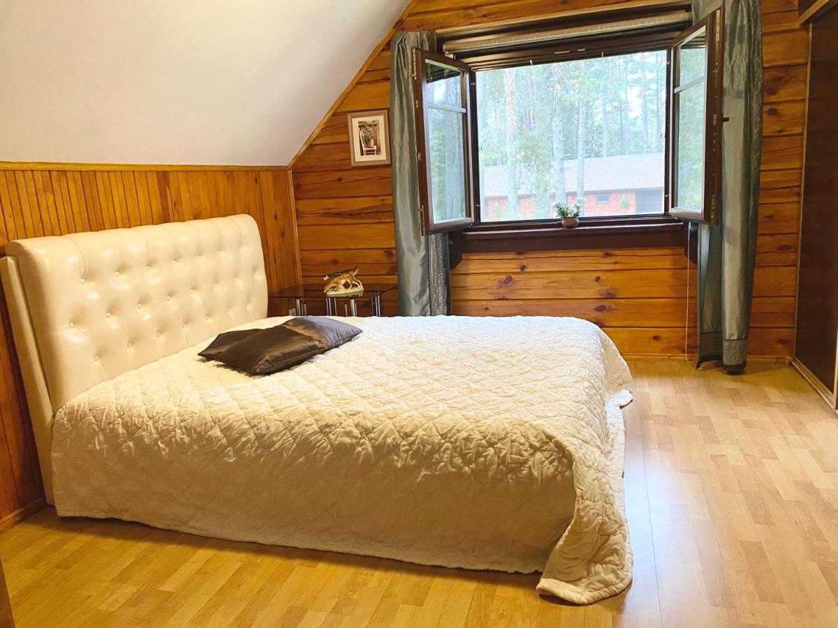 Rojaus Slenis Villa Druskininkai Kültér fotó