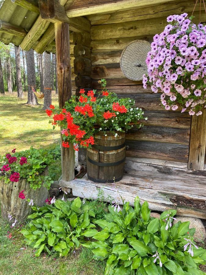 Rojaus Slenis Villa Druskininkai Kültér fotó