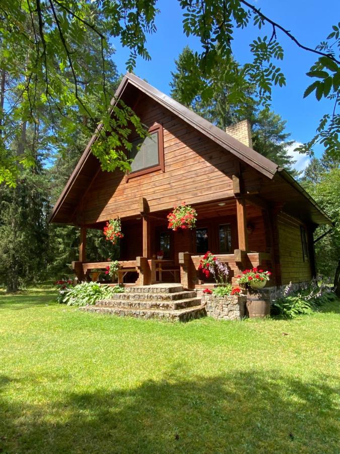 Rojaus Slenis Villa Druskininkai Kültér fotó