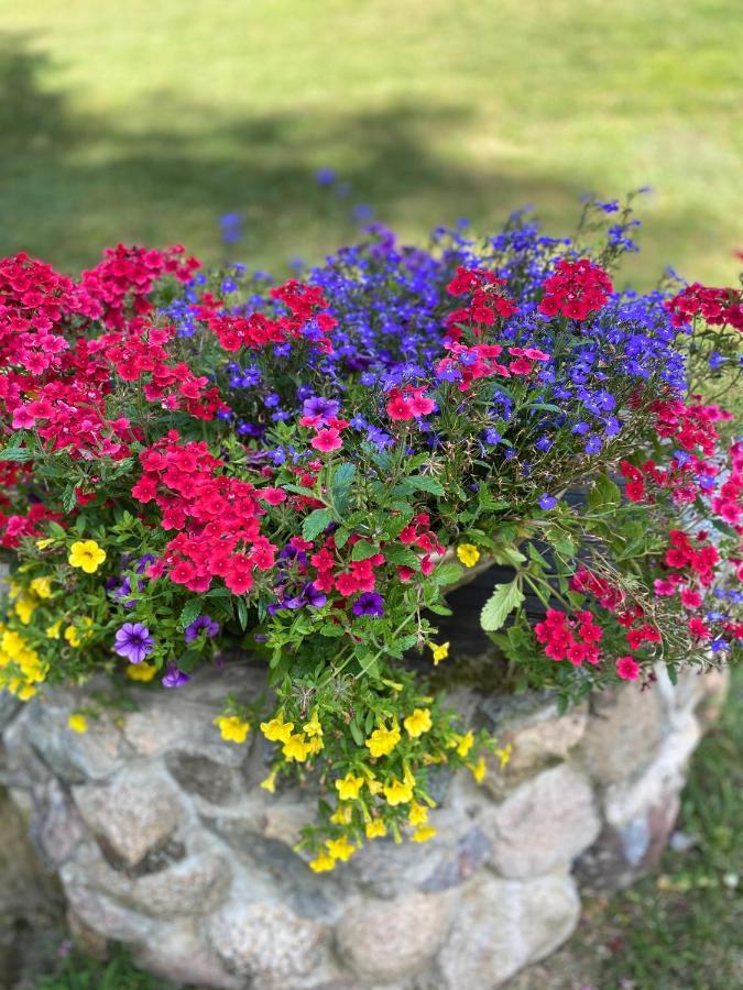Rojaus Slenis Villa Druskininkai Kültér fotó