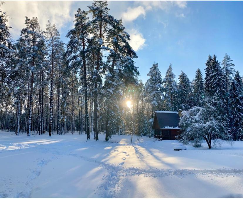Rojaus Slenis Villa Druskininkai Kültér fotó