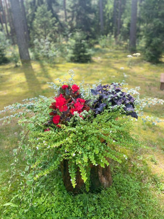 Rojaus Slenis Villa Druskininkai Kültér fotó