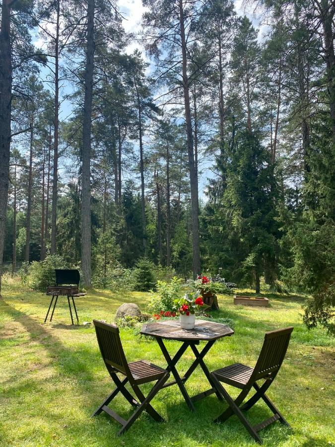 Rojaus Slenis Villa Druskininkai Kültér fotó