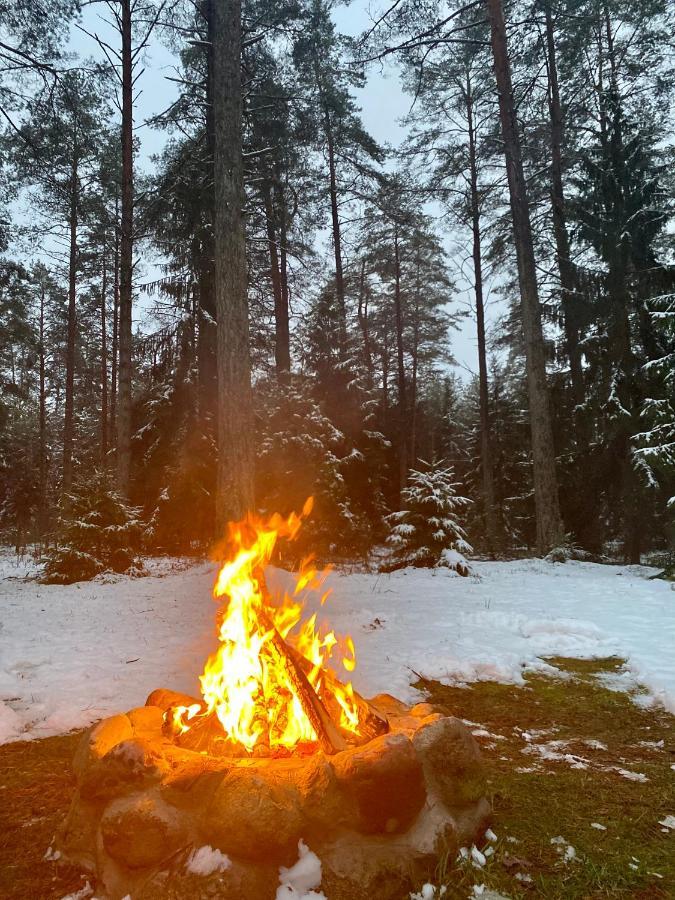 Rojaus Slenis Villa Druskininkai Kültér fotó