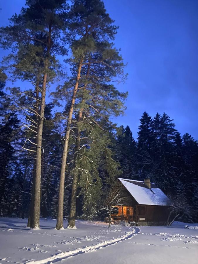 Rojaus Slenis Villa Druskininkai Kültér fotó