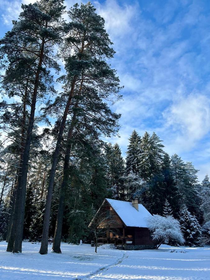 Rojaus Slenis Villa Druskininkai Kültér fotó