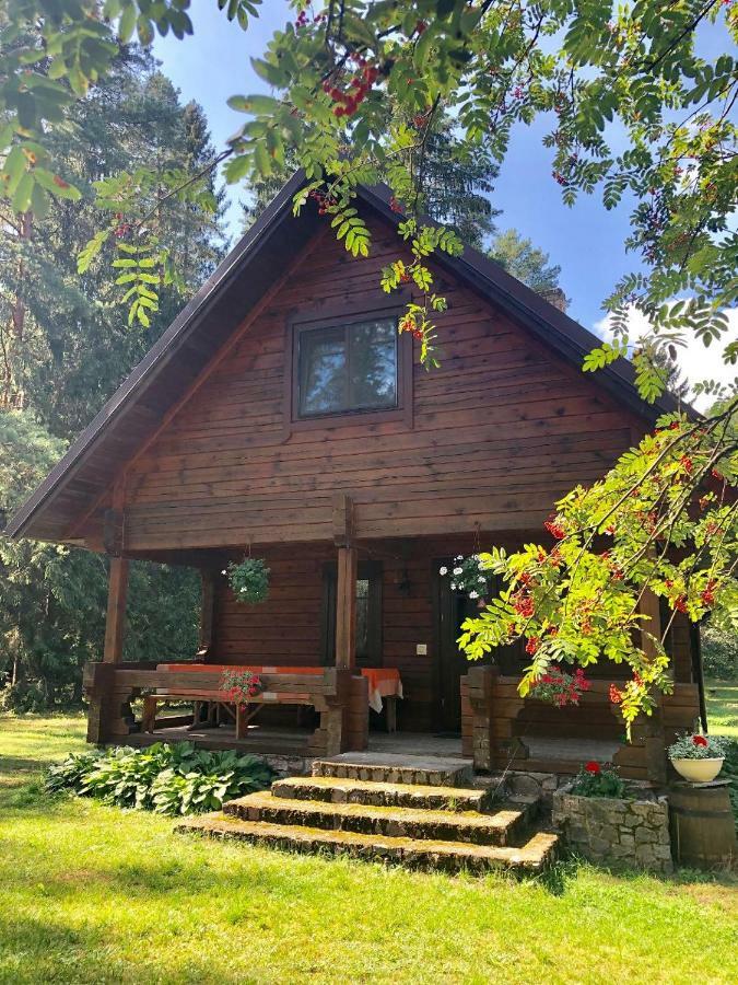 Rojaus Slenis Villa Druskininkai Kültér fotó