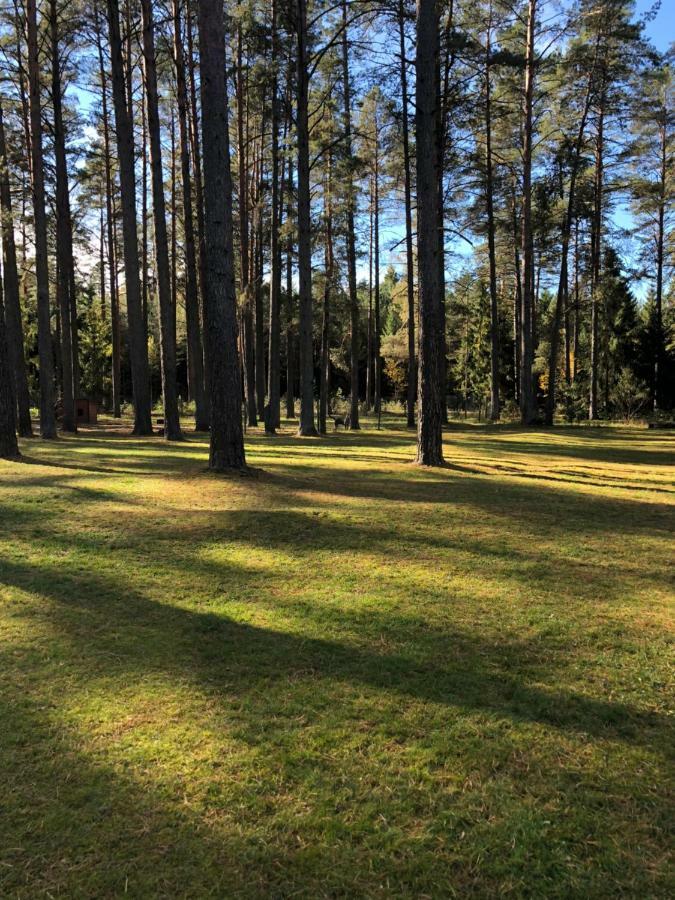 Rojaus Slenis Villa Druskininkai Kültér fotó