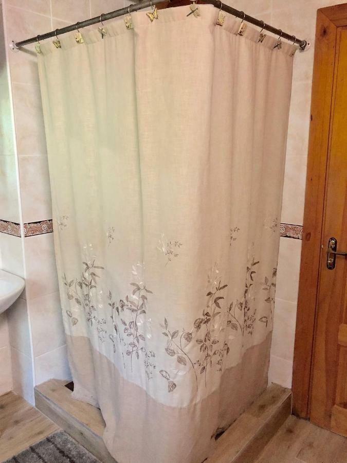 Rojaus Slenis Villa Druskininkai Kültér fotó
