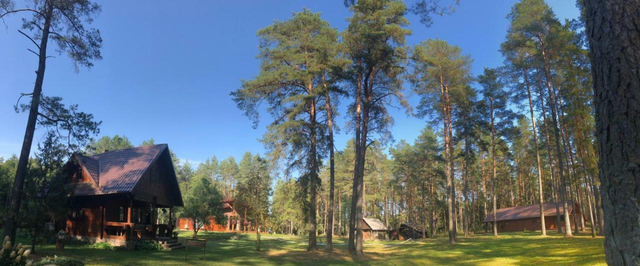 Rojaus Slenis Villa Druskininkai Kültér fotó
