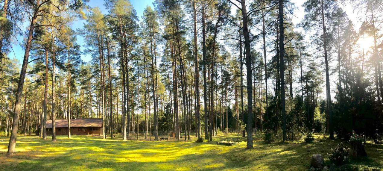 Rojaus Slenis Villa Druskininkai Kültér fotó