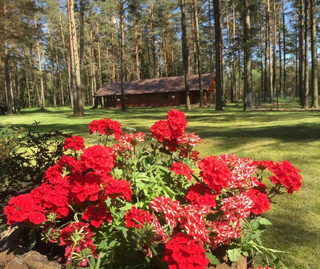 Rojaus Slenis Villa Druskininkai Kültér fotó
