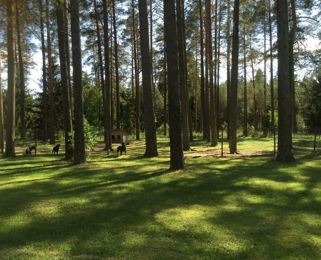 Rojaus Slenis Villa Druskininkai Kültér fotó